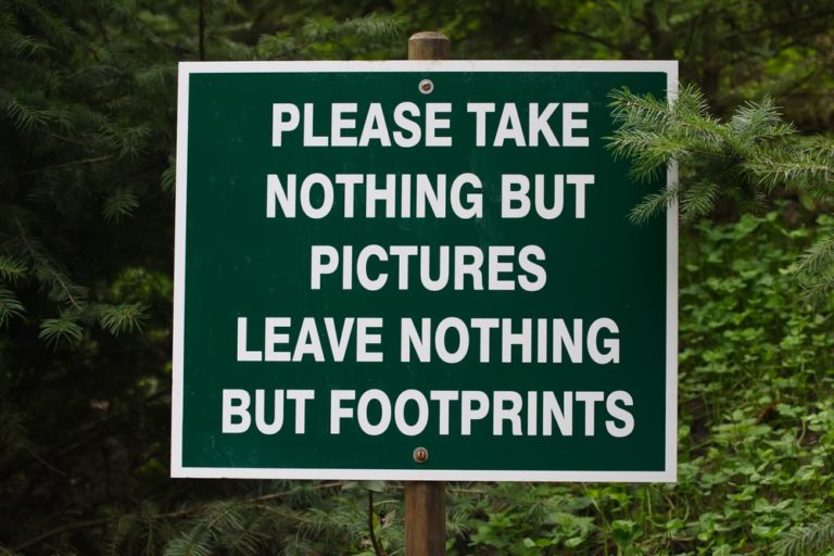 » Leave No Trace while camping